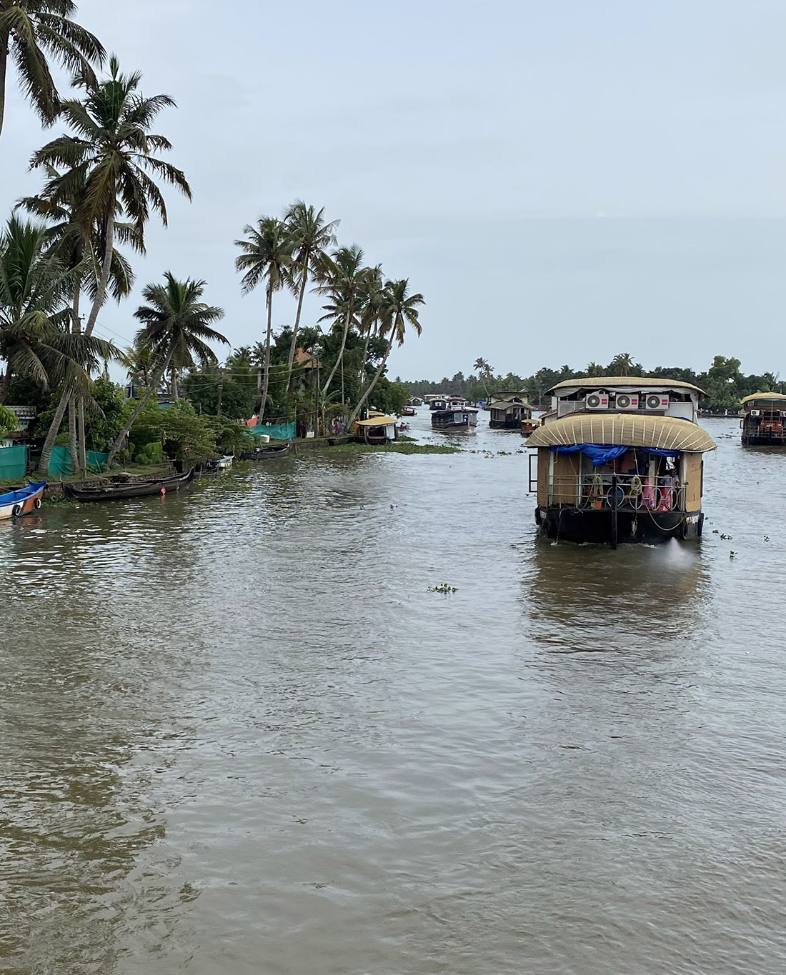 Houseboat en los backwaters india